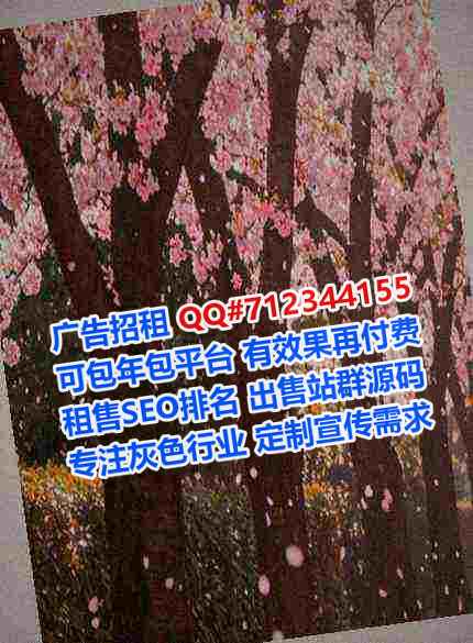 神木助孕计算机经营部
